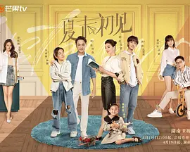 久久久久久综合成人精品
