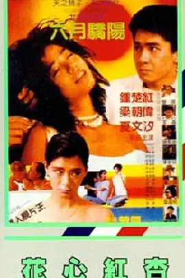免费一级特黄欧美大片久久网