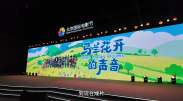 91蝌蚪在线播放
