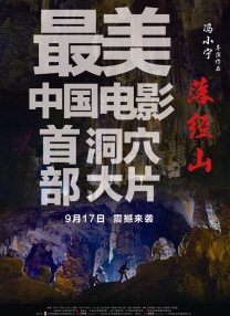 激情久久久久
